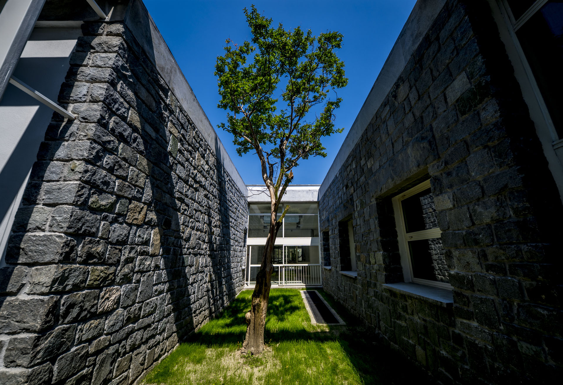 Cortile interno a Ivrea: albero centrale su prato tra alte pareti in pietra e facciata moderna