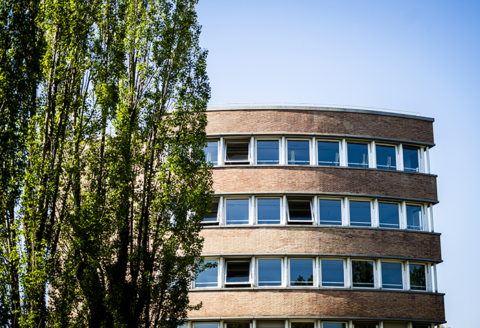 Edificio industriale Olivetti a Ivrea: facciata curva in mattoni con bande orizzontali di finestre e pioppo in primo piano